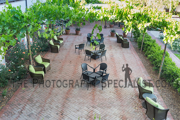 ©2016 ThePhotographySpecialist.com