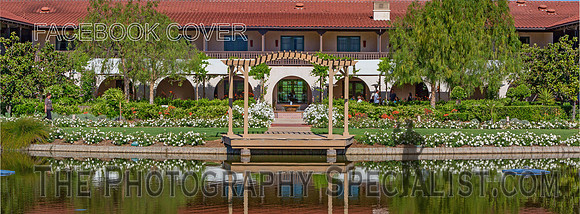 ©2016 ThePhotographySpecialist.com