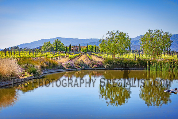 ©2016 ThePhotographySpecialist.com