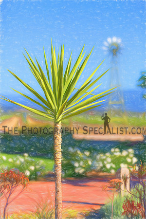 ©2016 ThePhotographySpecialist.com