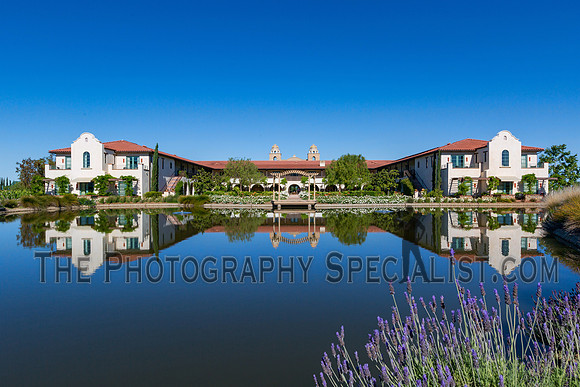©2016 ThePhotographySpecialist.com