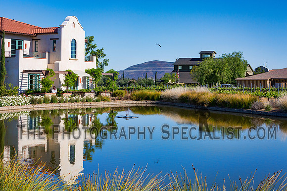 ©2016 ThePhotographySpecialist.com