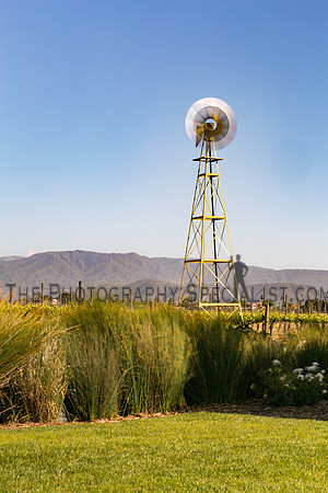 ©2016 ThePhotographySpecialist.com