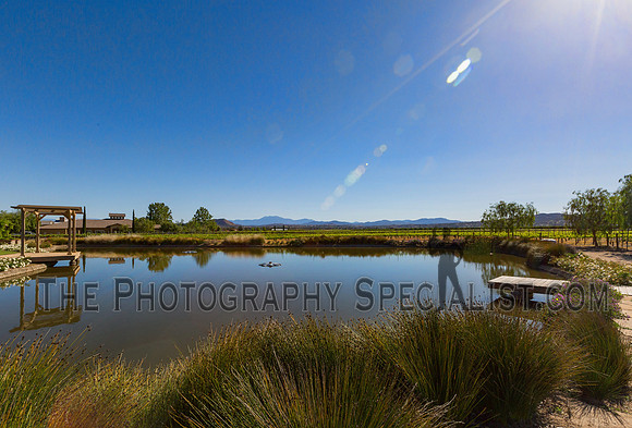 ©2016 ThePhotographySpecialist.com