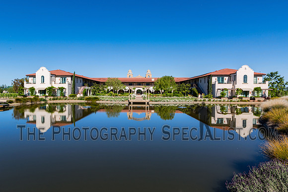 ©2016 ThePhotographySpecialist.com
