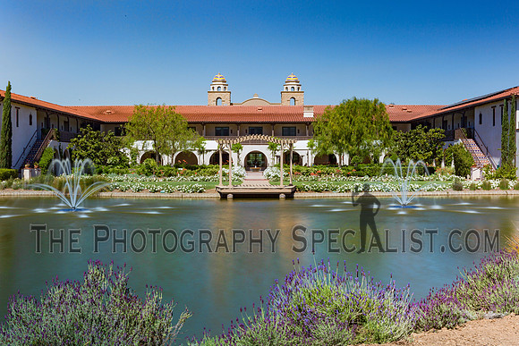 ©2016 ThePhotographySpecialist.com