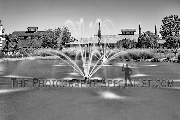 ©2016 ThePhotographySpecialist.com