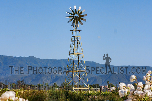 ©2016 ThePhotographySpecialist.com