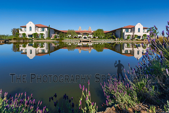 ©2016 ThePhotographySpecialist.com