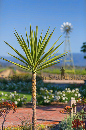 ©2016 ThePhotographySpecialist.com