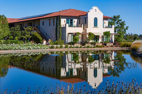 ©2016 ThePhotographySpecialist.com