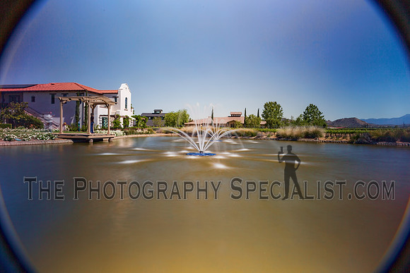 ©2016 ThePhotographySpecialist.com