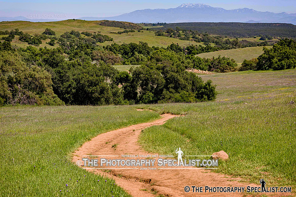 ThePhotographySpecialist.com