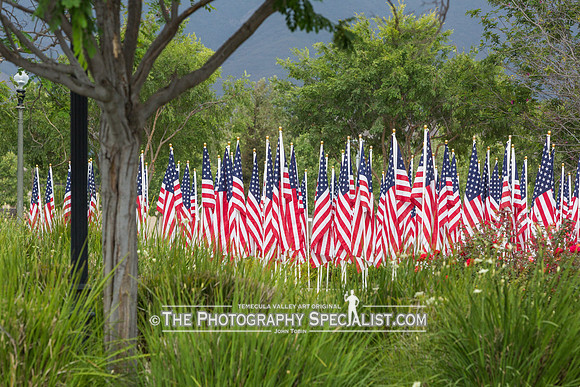 ©2016 ThePhotographySpecialist.com
