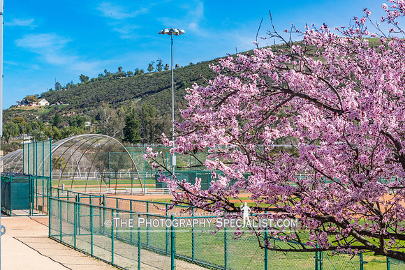 Los Alamos Sports Park