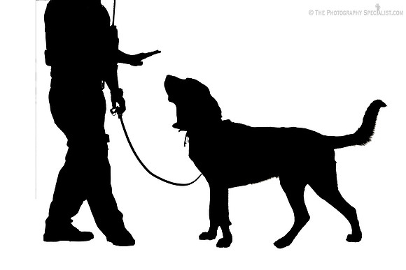 Paws4Laws