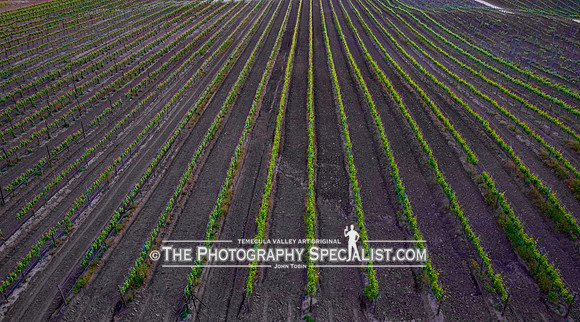 ThePhotographySpecialist.com