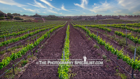 ThePhotographySpecialist.com